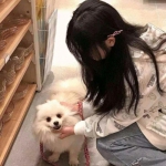 我的世界地下城下载手机版